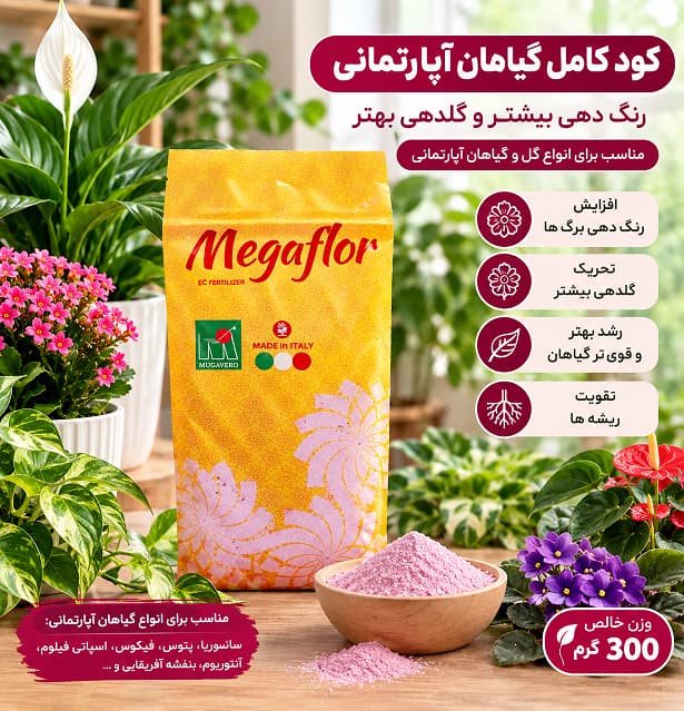 کود کلسیم برای گیاهان گلدانی 
